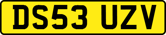 DS53UZV