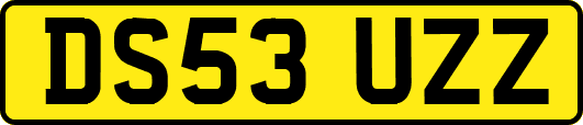 DS53UZZ