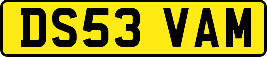 DS53VAM