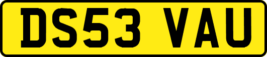 DS53VAU