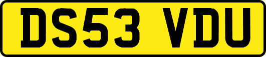 DS53VDU