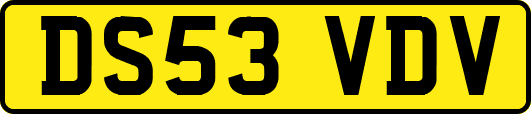 DS53VDV