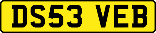 DS53VEB