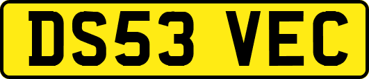 DS53VEC
