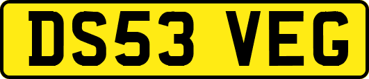 DS53VEG