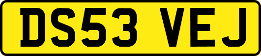DS53VEJ