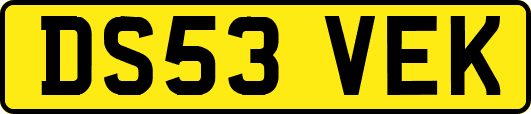 DS53VEK
