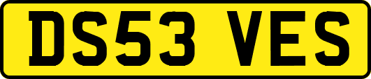 DS53VES