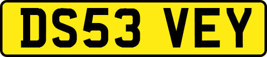 DS53VEY