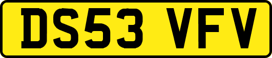 DS53VFV