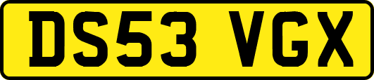 DS53VGX