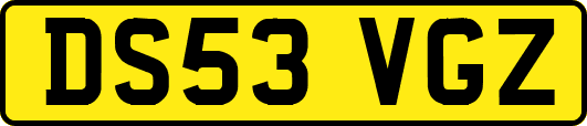 DS53VGZ