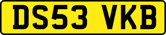 DS53VKB