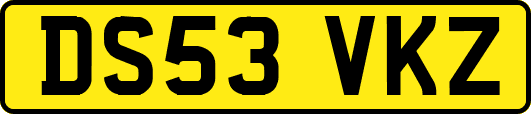 DS53VKZ