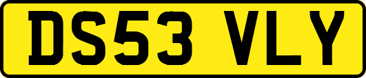 DS53VLY
