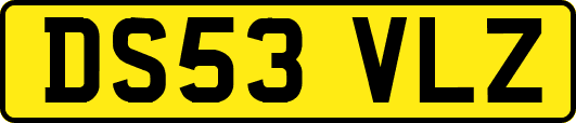 DS53VLZ