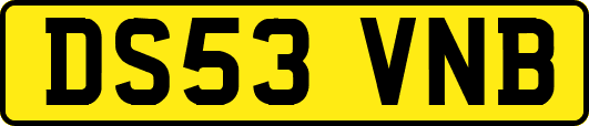 DS53VNB
