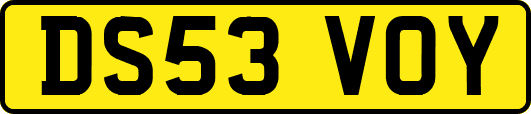 DS53VOY