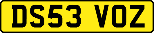 DS53VOZ