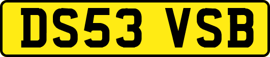 DS53VSB