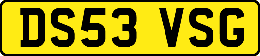DS53VSG