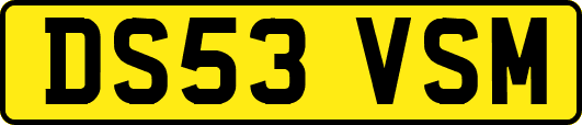 DS53VSM