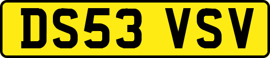DS53VSV