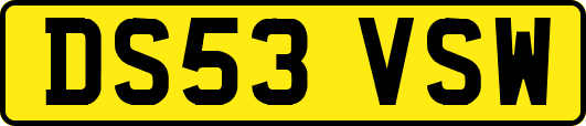 DS53VSW