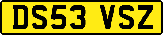 DS53VSZ
