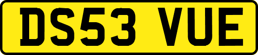 DS53VUE