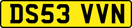 DS53VVN