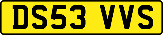 DS53VVS