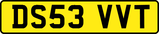 DS53VVT