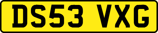 DS53VXG