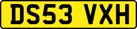 DS53VXH