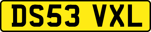 DS53VXL
