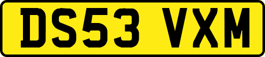 DS53VXM