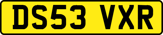DS53VXR