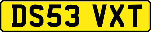 DS53VXT