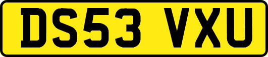 DS53VXU