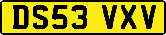 DS53VXV