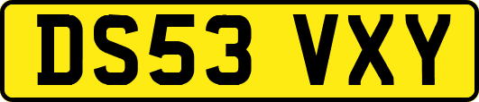 DS53VXY