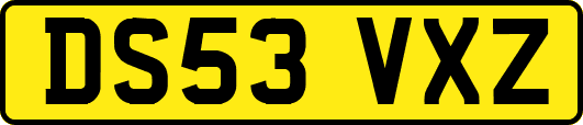 DS53VXZ