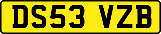 DS53VZB