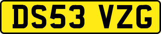 DS53VZG