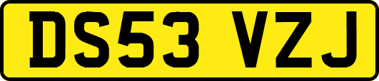 DS53VZJ