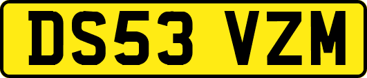 DS53VZM