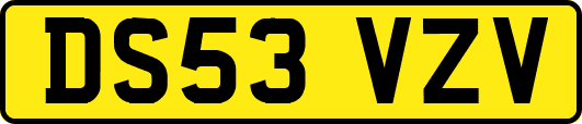 DS53VZV