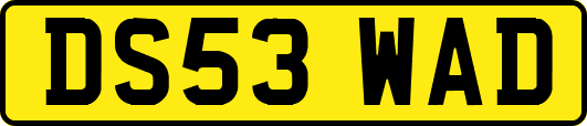 DS53WAD