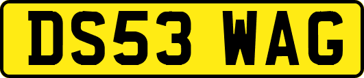DS53WAG